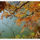 환산로 Daum카페