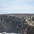 황소네집 이미지