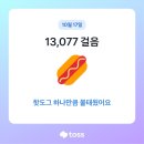 중앙체육공원 이미지