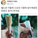 보배월드