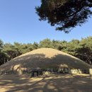 선덕여왕릉 화장실 이미지