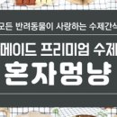 멍냥간식 이미지