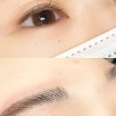 제이라인(J Line)