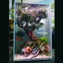 아쿠아트리 - 강남구 삼성로103길 32 | 아쿠아트리