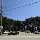 완도맛집 모래뜰 이미지