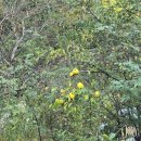 더해동공인중개사사무소 이미지