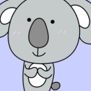 니타커피 이미지