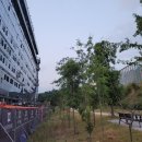 금강세차장 이미지