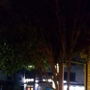 큰누이찜 이미지