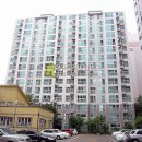 세화로168번길 Daum카페
