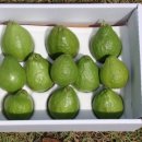 기현농장 이미지