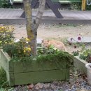 천마유황천 이미지