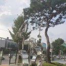 사당역 12번출구 앞 이미지