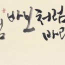 삼랑 이미지