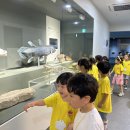 🚌 7월 현장체험학습-해양자연사박물관 🚌 이미지