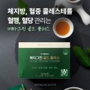 메타플러스