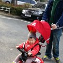 라이크 율