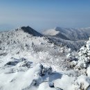 카이스트 이미지