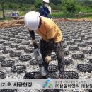 삼일이엔씨주 이미지
