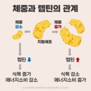이음한의원 네이버블로그
