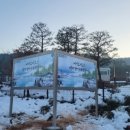 서울윤치과 네이버블로그