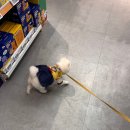 이웃집모모 | 2026년 2월 셋째 주