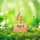 김앤강치과의원 이미지