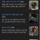 범스플라워샵