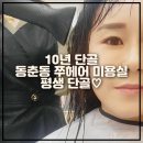내가 10년동안 헤어쭈를 다닌 찐 후기