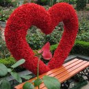 새만금농장 이미지