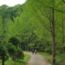 장촌 공중화장실 이미지