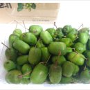 금이농장 이미지