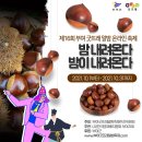 빵뜨래