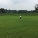 안성연수원 이미지