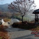 축령산 산소길(4구간) 이미지