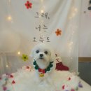 늘, 이쁘개 이미지