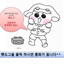 쌍둥이카써비스 이미지