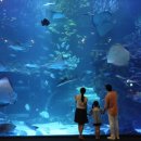 테마투어(해양생태 체험) 이미지