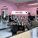 13월 | 수유역 미용실 13월헤어 시세이도클리닉 후기 (시세이도 클리닉 단계/과정/가격 정보/효과 등)