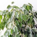 모현동물병원 이미지