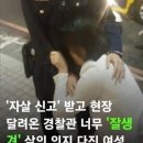 너 시즈니야 브리즈야. 시즈니...? 브리즈잖아 다시 물을게 시즈니야 브리즈야. 브리즈...? 시즈니잖아...