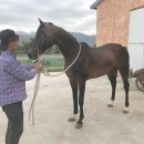 용두목장 이미지