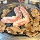 정산축산 티스토리
