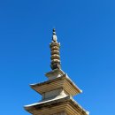 석굴암 - 1656 | 경주 여행 가볼만한 곳 불국사 석가탑 다보탑 석굴암 관람 후기!