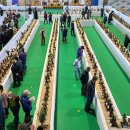 신안국민체육센터 이미지