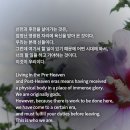 선천