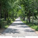 푸른목장Ⅱ 이미지