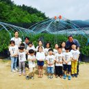 광산초교병설유치원 이미지