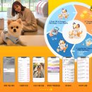 A+(알파 플러스) 펫라운지 이미지