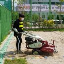 신대초병설유치원 | 전남 신대초등학교&amp;병설유치원 모래소독 : 3460번째 후기